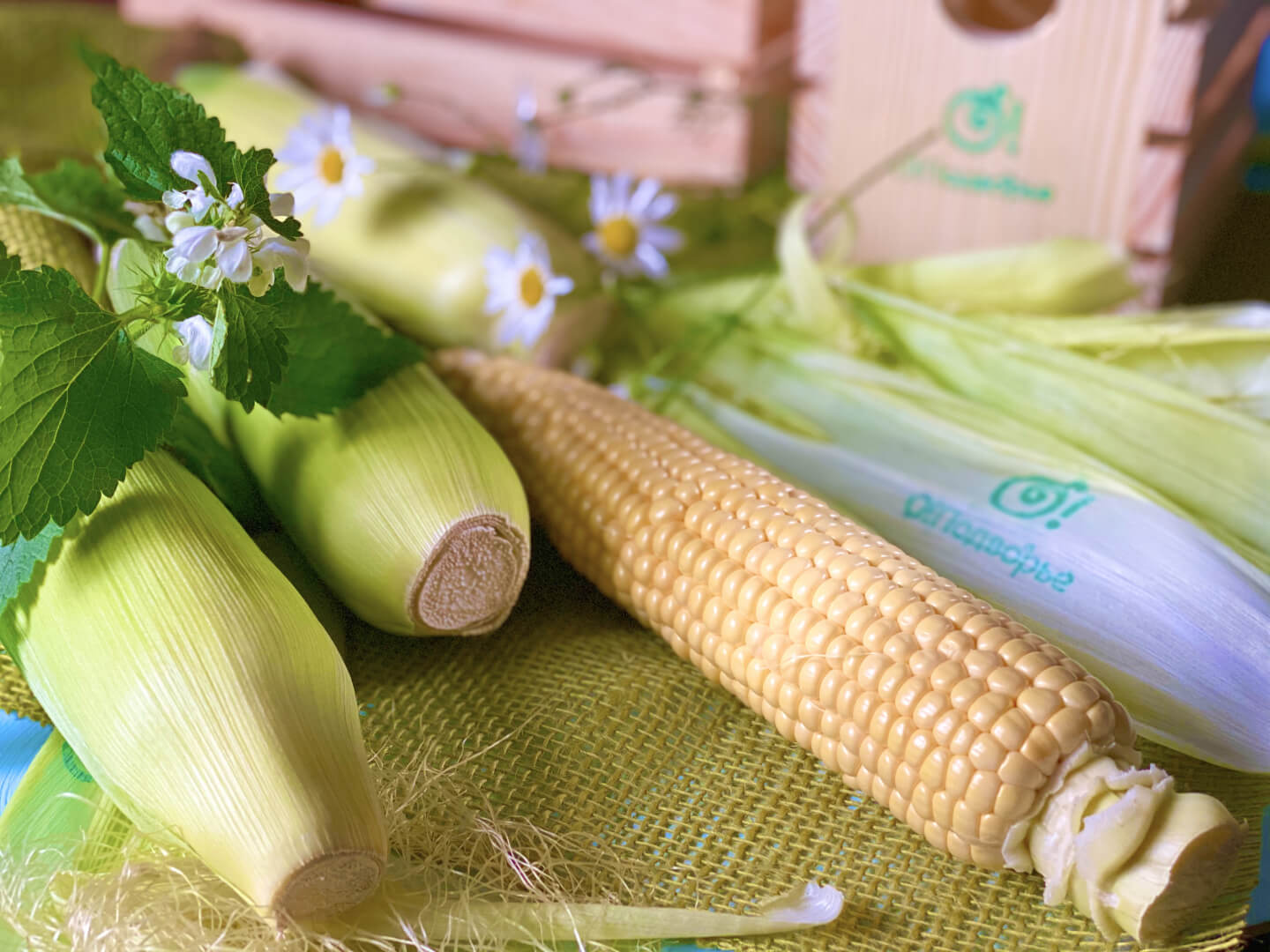 Кукуруза свежая