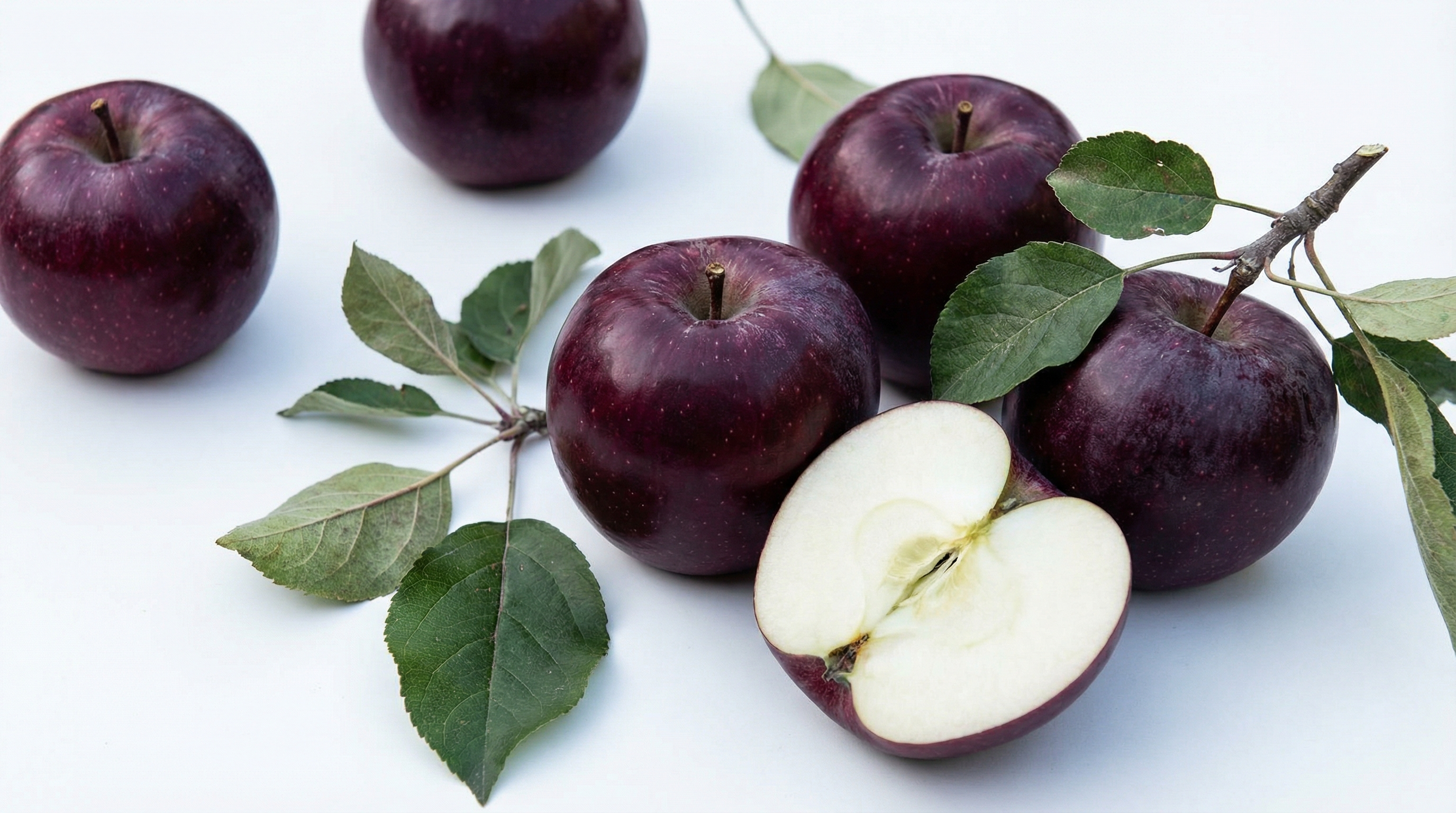 Яблоки спартан