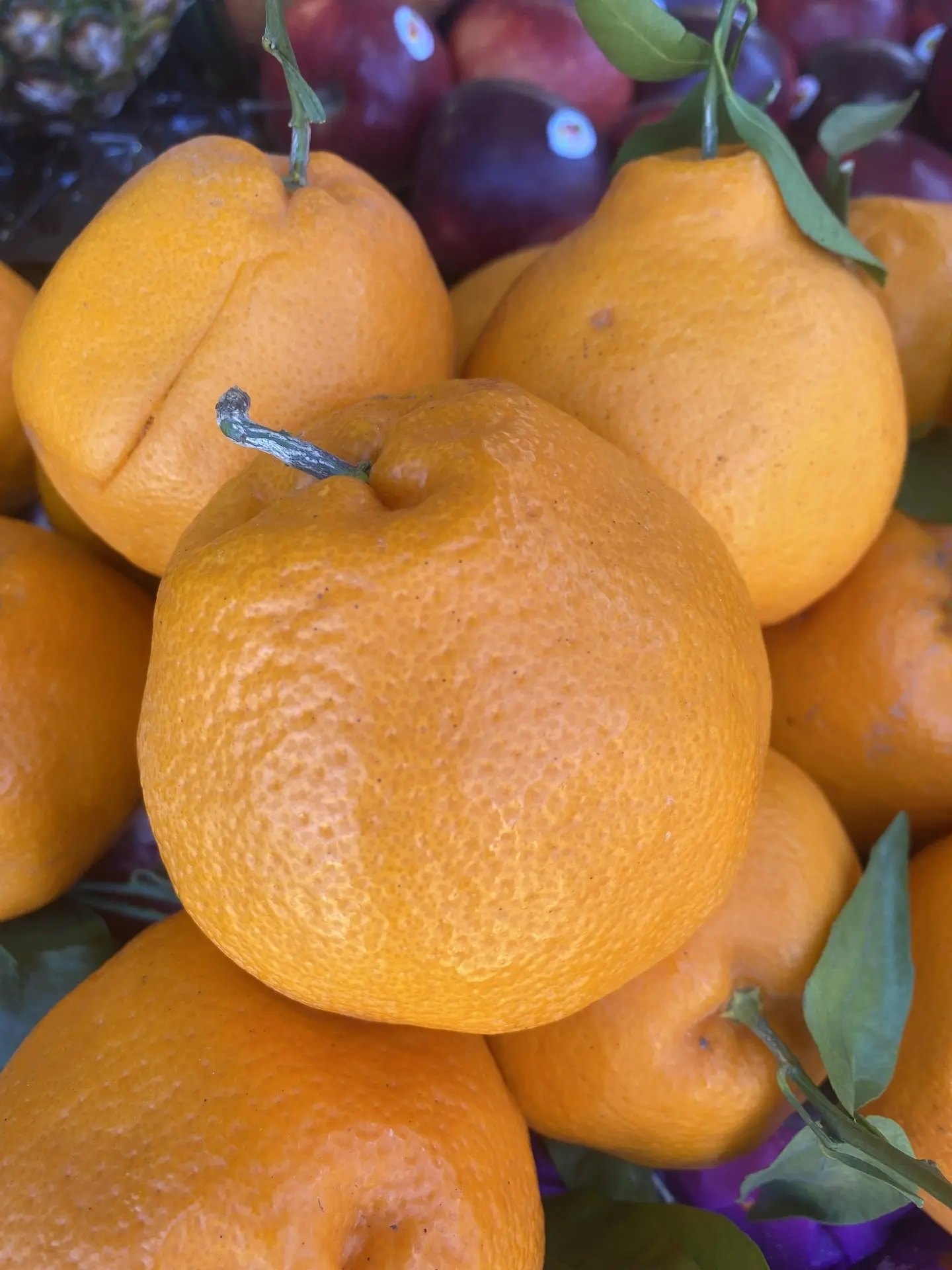 Мандарины Панда 