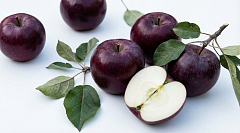 Яблоки спартан