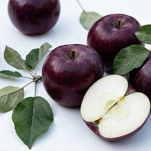 Яблоки спартан