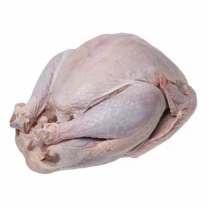 Индейка домашняя (замороженная)