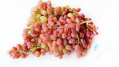 Виноград, киш-миш розовый (Фруктовый бутик)