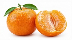 Мандарины Сербия