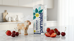 Молоко parmalat 0,5% 1 литр