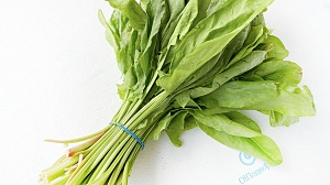 Зелень и салаты