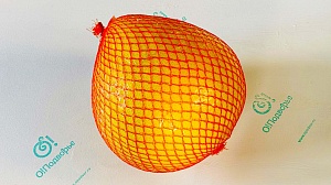 Экзотические фрукты