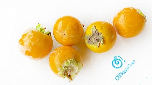 Хурма в ассортименте